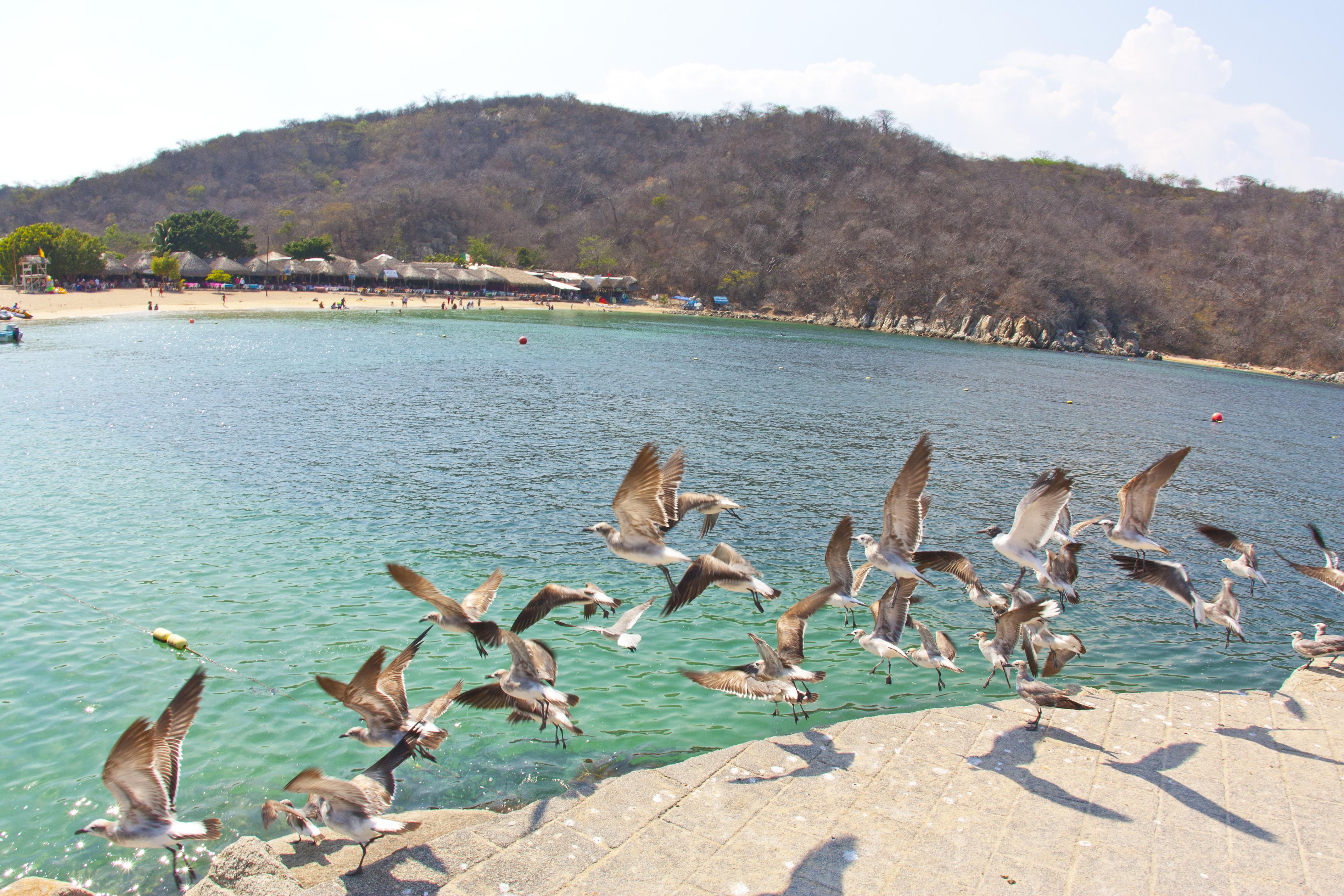 Villa Blanca Huatulco Santa Cruz Huatulco Exteriér fotografie